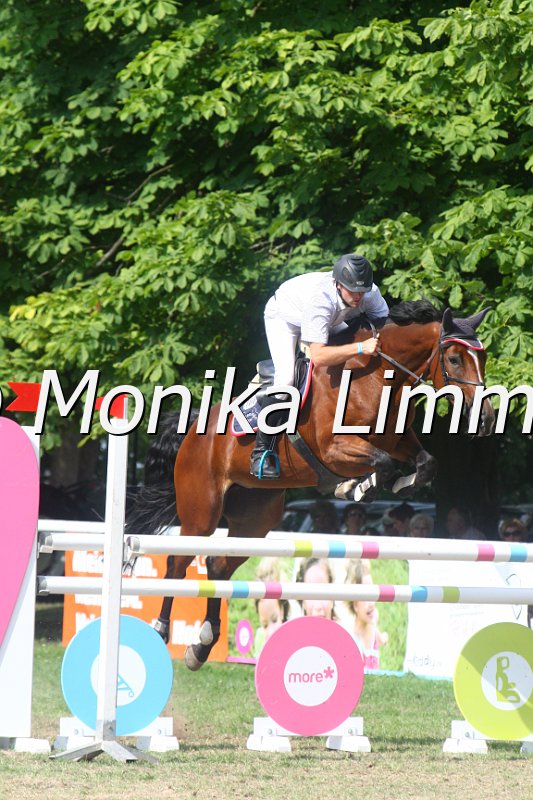 308M3774_Fanelli_Springpferde Mx.JPG